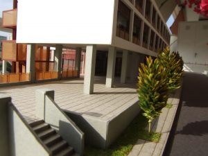DSCF1773